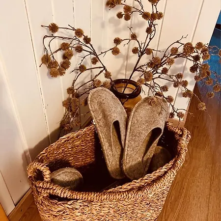 Alpaka-ferienhaus Oenzlen Wynigen