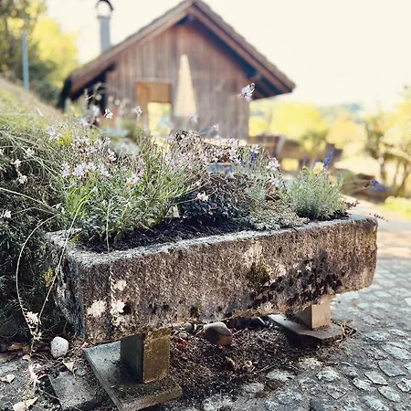 Lejlighed Alpaka-ferienhaus Oenzlen Wynigen