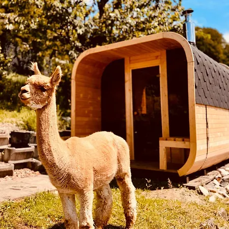 Alpaka-ferienhaus Oenzlen