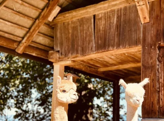 Alpaka-ferienhaus Oenzlen Apartment