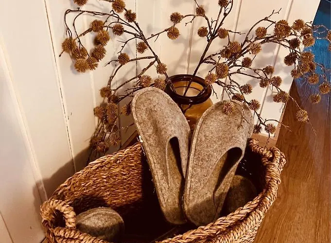 Alpaka-ferienhaus Oenzlen Wynigen