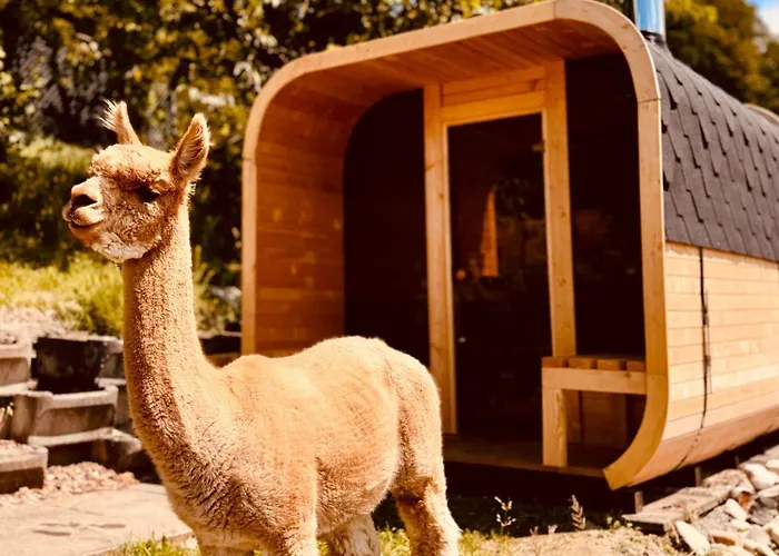 Alpaka-ferienhaus Oenzlen