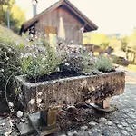 Lejlighed Alpaka-ferienhaus Oenzlen Wynigen