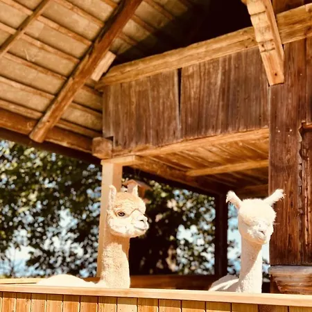 Alpaka-ferienhaus Oenzlen Lejlighed