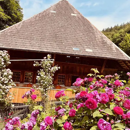 Alpaka-ferienhaus Oenzlen * Wynigen