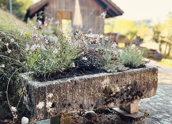 Lejlighed Alpaka-ferienhaus Oenzlen Wynigen
